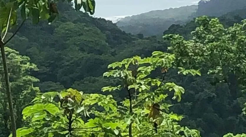 Located in one of the most exclusive areas of the Nicoya Peninsula, this 700m2 lot is ideal for your next project. Some of its features include:
