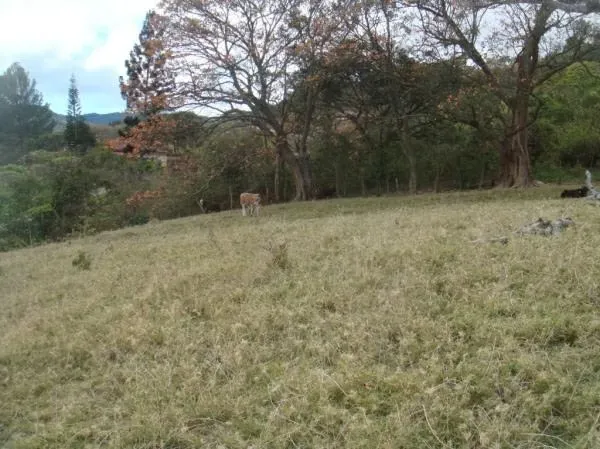 Unique land in the area as it has 19.5 hectares for development, with spectacular views of the central valley, the mountains north of San José, Alajuela, Heredia, Coronado and Irazú ...