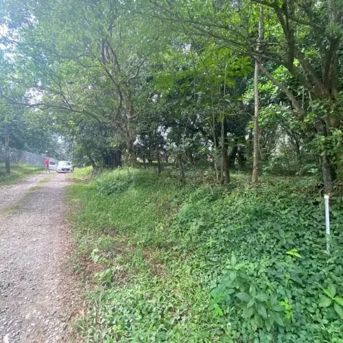 BATCH SALE, MIXED USE, ALAJUELA, OROTINA, OLD FARM