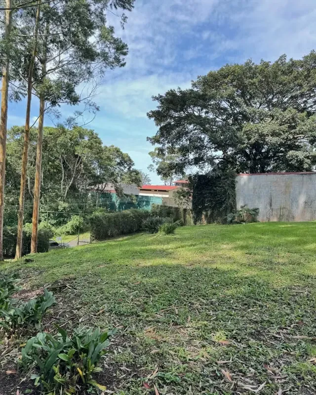 If you are looking for a large land to build your home in the countryside, this property in San Ramon, Tres Rios Cartago, near the Mariam Baker School, is the perfect choice for you. ... — photo 4