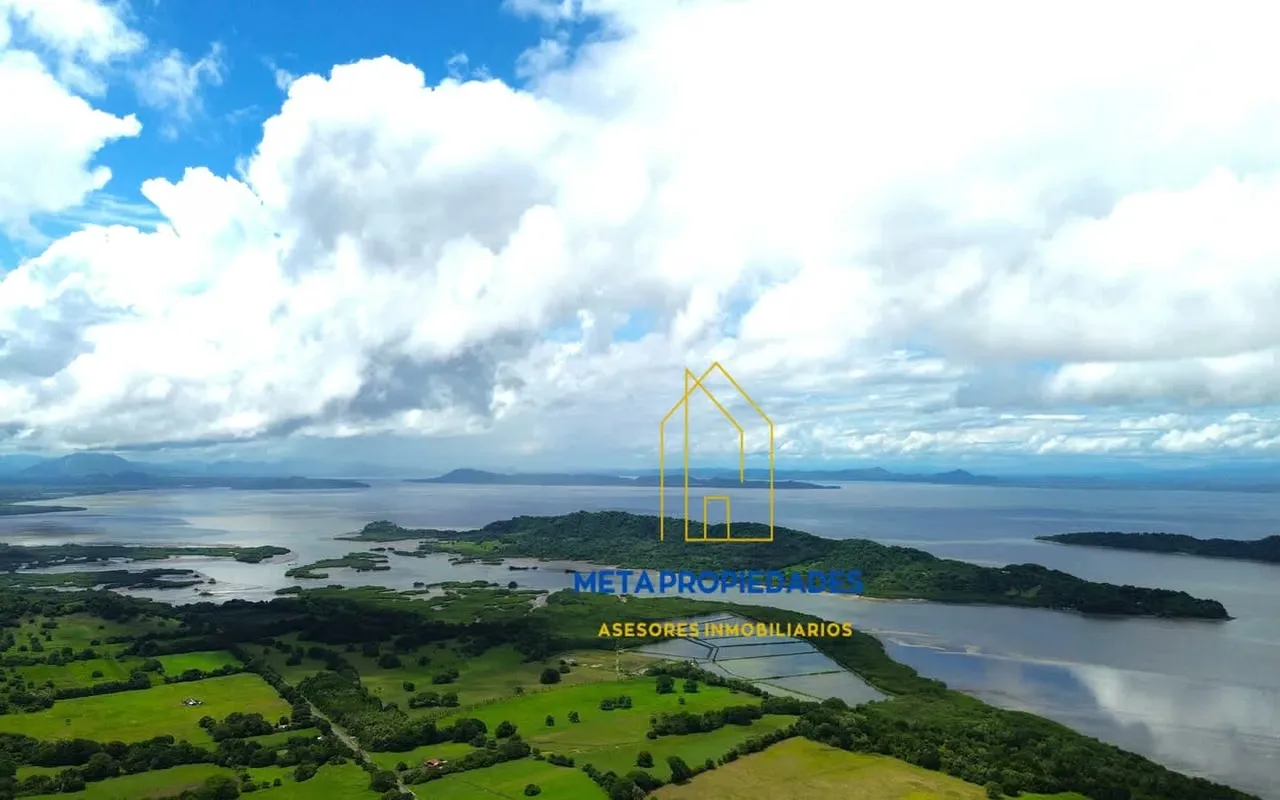 Topography: 3.5 flat hectares, the rest offers panoramic views of the Gulf of Nicoya.