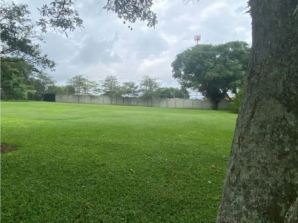 DESCRIPTION DETAILED: large farm planted from Roble Sábana, Corteza Amarilla and Llama del Bosque. The permitted use is ...