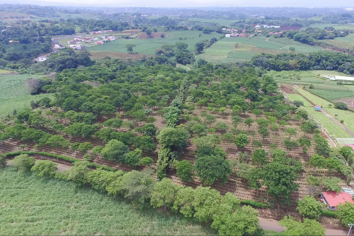 Finca en venta en Grecia ideal para desarrollo Inmobiliario