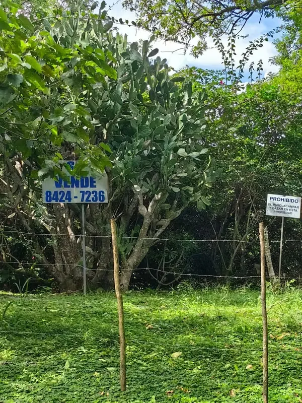 I sell 18,630m2 land in Piedades de Santa Ana, located 1 km from Fresh Market, with private entrance through the residential Mountain del Sol. It has forest areas and flat parts and ...
