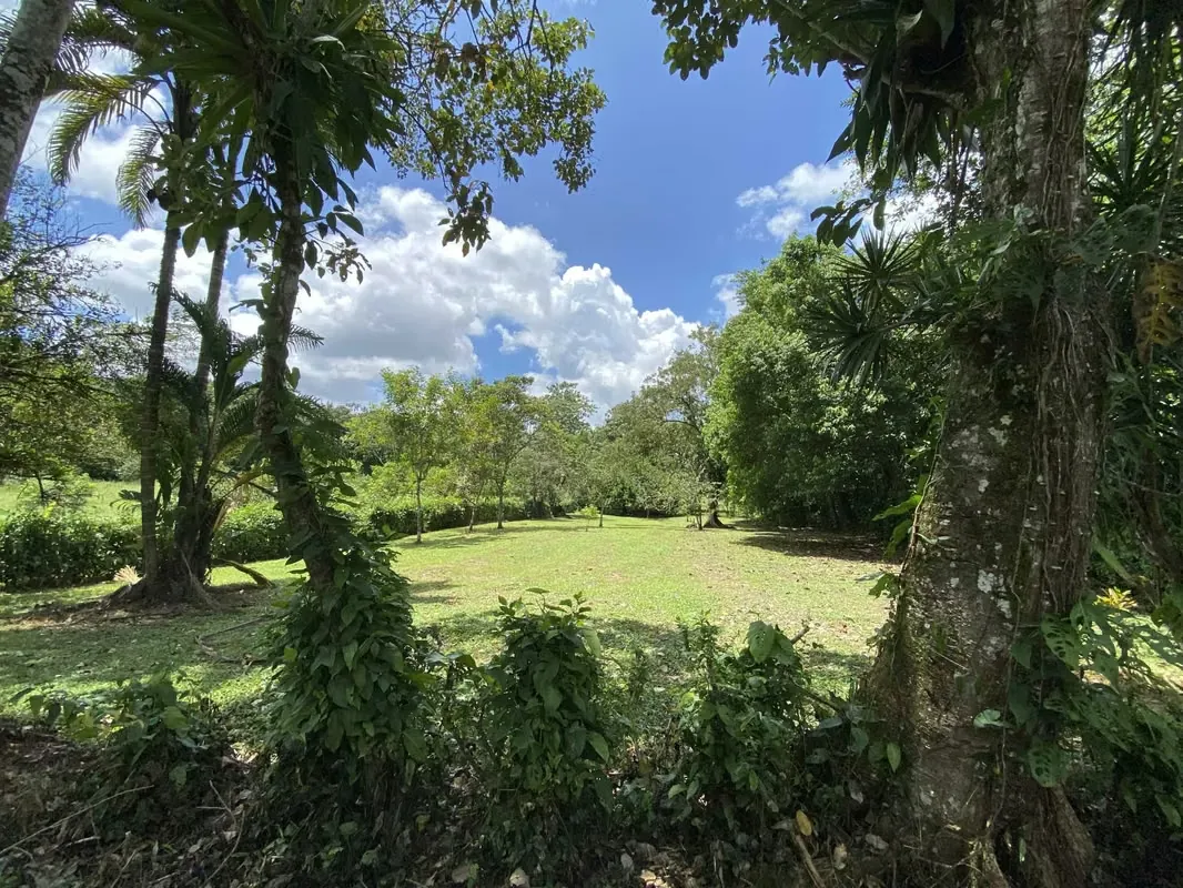 Lot for Sale in Chachagua San Ramón de Alajuela.