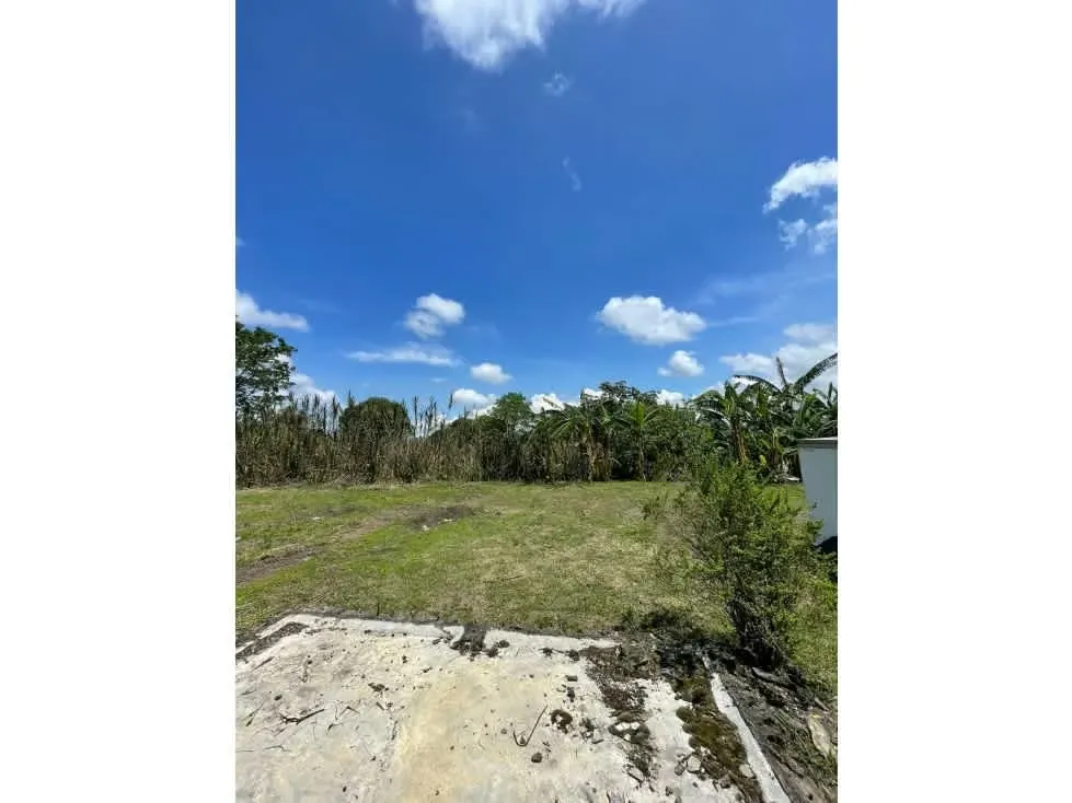 VENTA DE FINCA PARA DESARROLLO RESIDENCIAL, ALAJUELA, CANOAS
