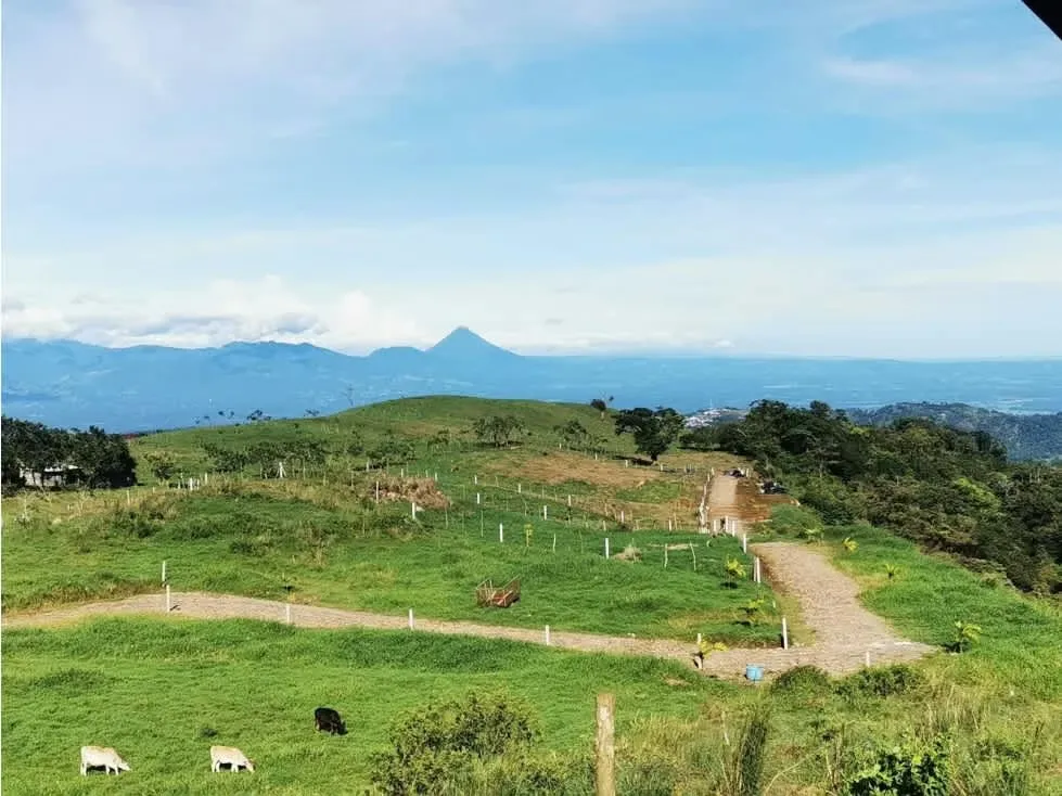 VENTA DE LOTES RESIDENCIALES, ALAJUELA, SAN CARLOS, CUIDAD QUESADA