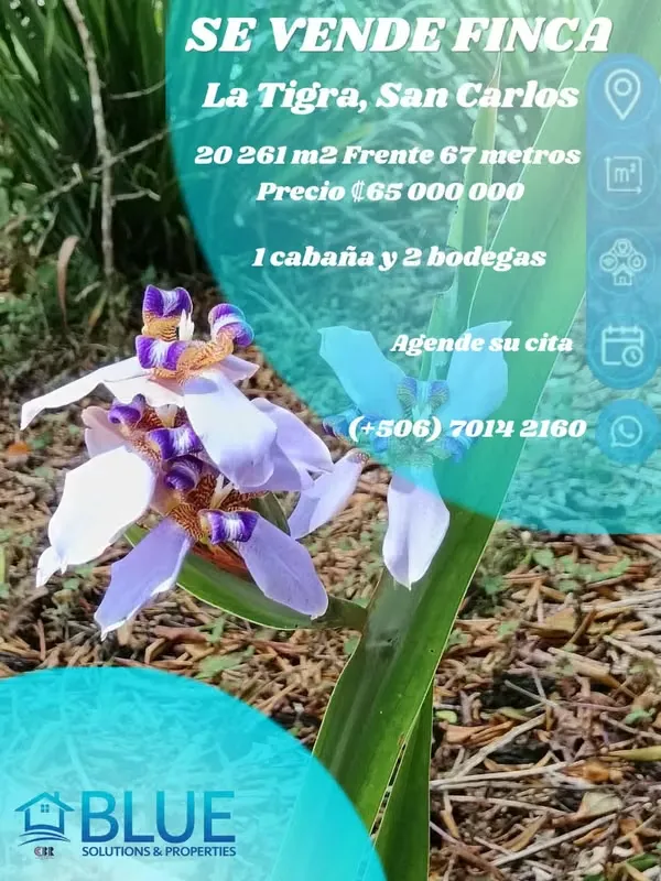 GRAN REBAJO!!!!!Se vende finca San Miguel, La Tigra, San Carlos