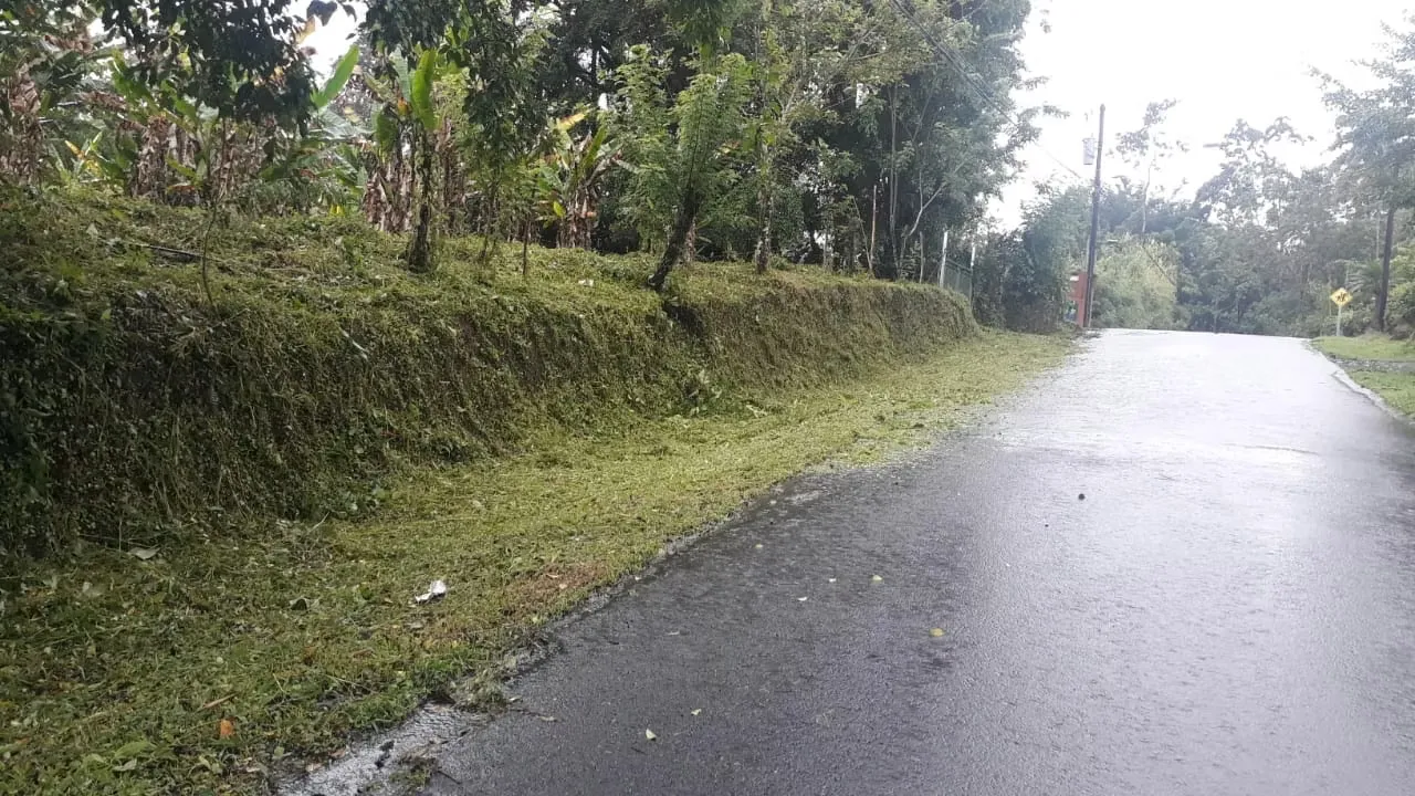 Farm for sale in La Fortuna, 2.5 hectares with views of Arenal Volcano, photo 5