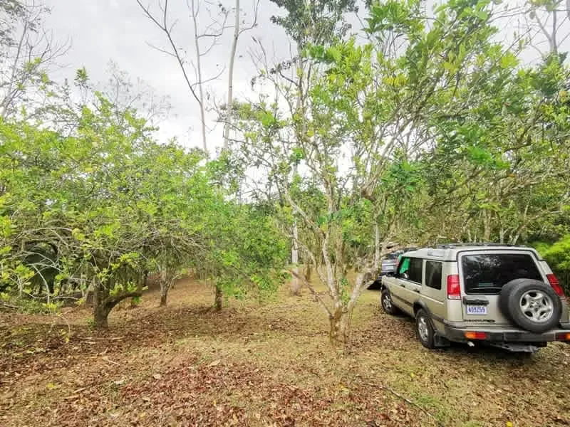 Lot for sale, Florence de San Carlos, Las Cuestillas, Rio peje