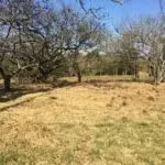 Flat ground, corner. It borders with street on the west side, adjacent to the La Caraña Club in the north and the Caraña River in the east. ...