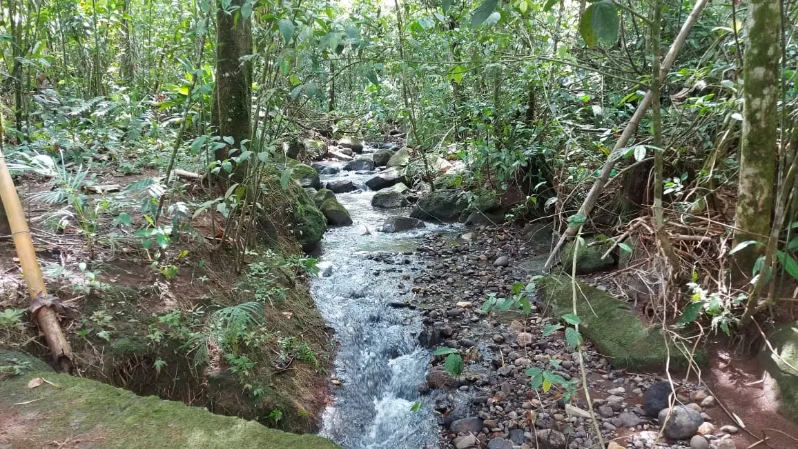 Farm for Sale in La Tigra, San Carlos, Stream — photo 2