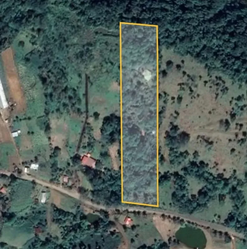 Farm for Sale in La Tigra, San Carlos, Stream — photo 3