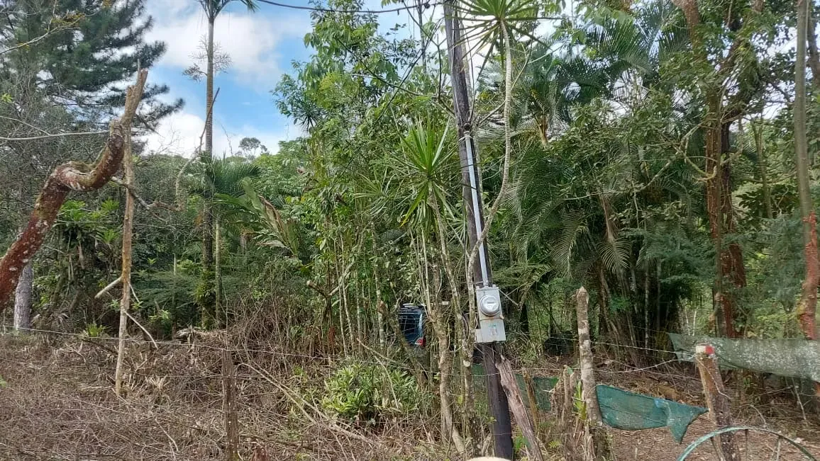 Farm for Sale in La Tigra, San Carlos, Stream — photo 4