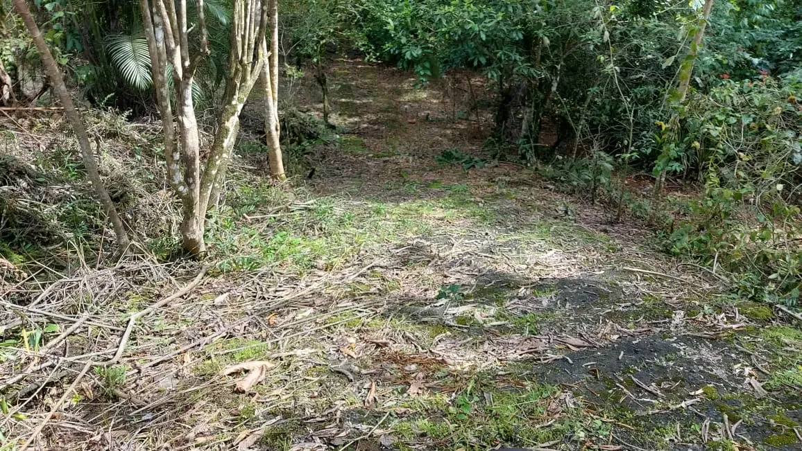 Farm for Sale in La Tigra, San Carlos, Stream — photo 5