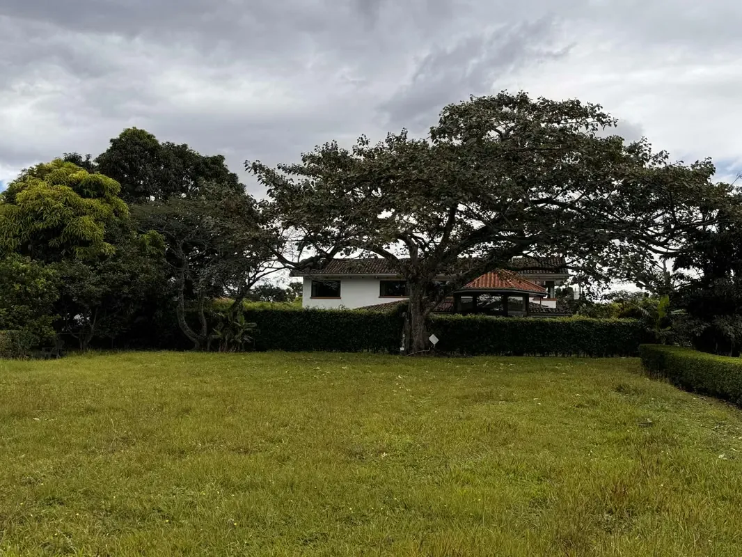 LAND FOR SALE IN LOS REYES