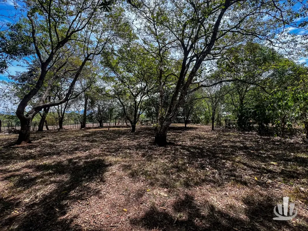 Lot for sale Coyolar, Puntarenas