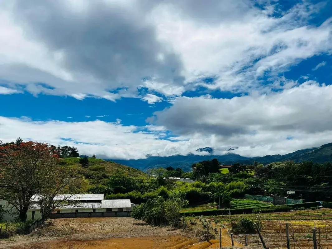 Venta de Lote Cartago Paraiso Cerca UCR (1,500 m2 at 65 million)