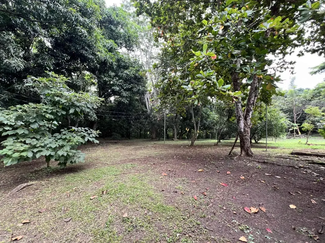 [Venta] Finca en Orotina – Sobre la Costanera, ubicación estratégica