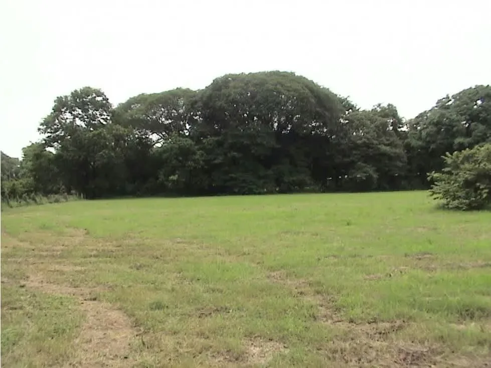 Terreno plano de 20,596 m² ubicado en Sardinal de Carrillo, Guanacaste, a tan solo 7 km de Playas del Coco (aproximadamente 10 minutos en carro). Este lote es ideal para desarrollo ...