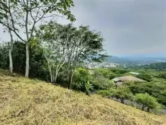 BARGAIN LOT LOS BAMBUES FOR SALE/BRAZIL DE MORA — photo 2