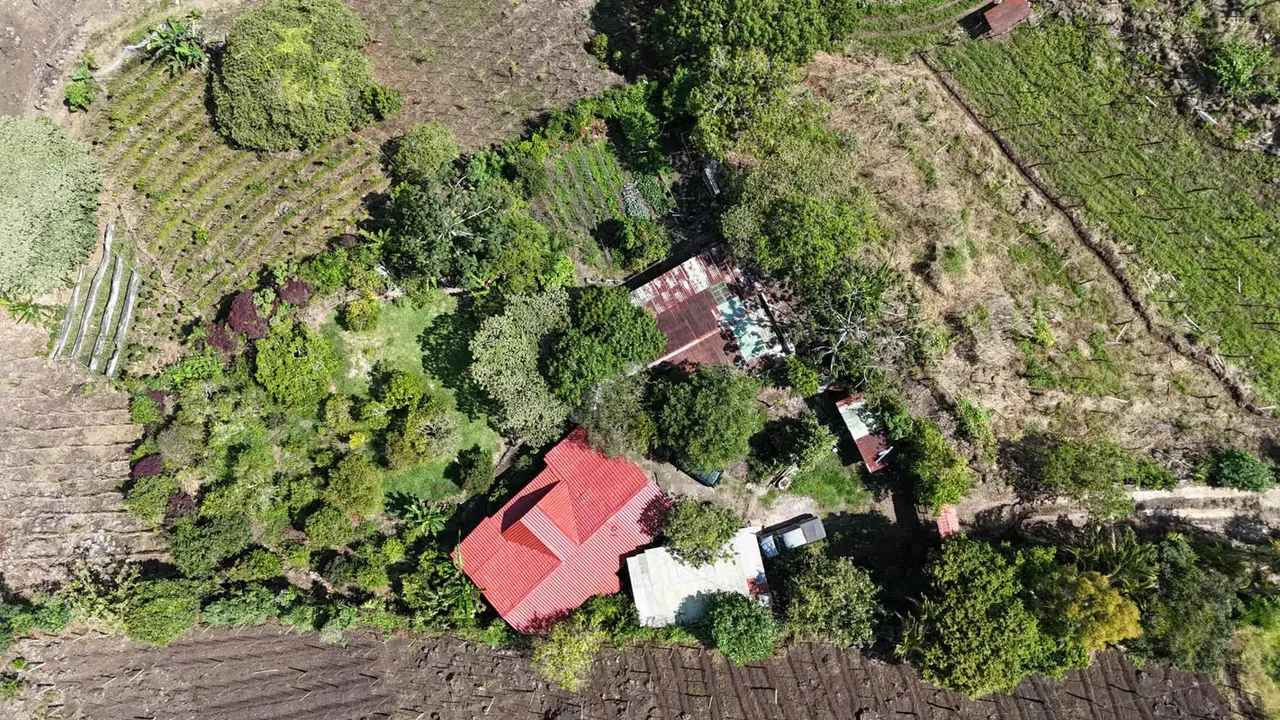 Venta de Finca en Cervantes de Alvarado