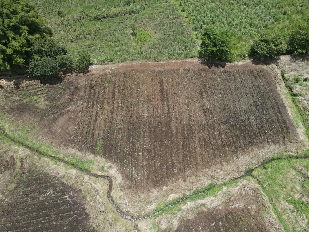 FARM FOR SALE, ALAJUELA, GRECIA