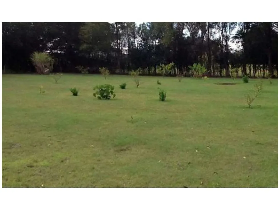 VENTA DE TERRENO, CONCEPCION DE SAN RAFAEL DE HEREDIA 786070 (HC)