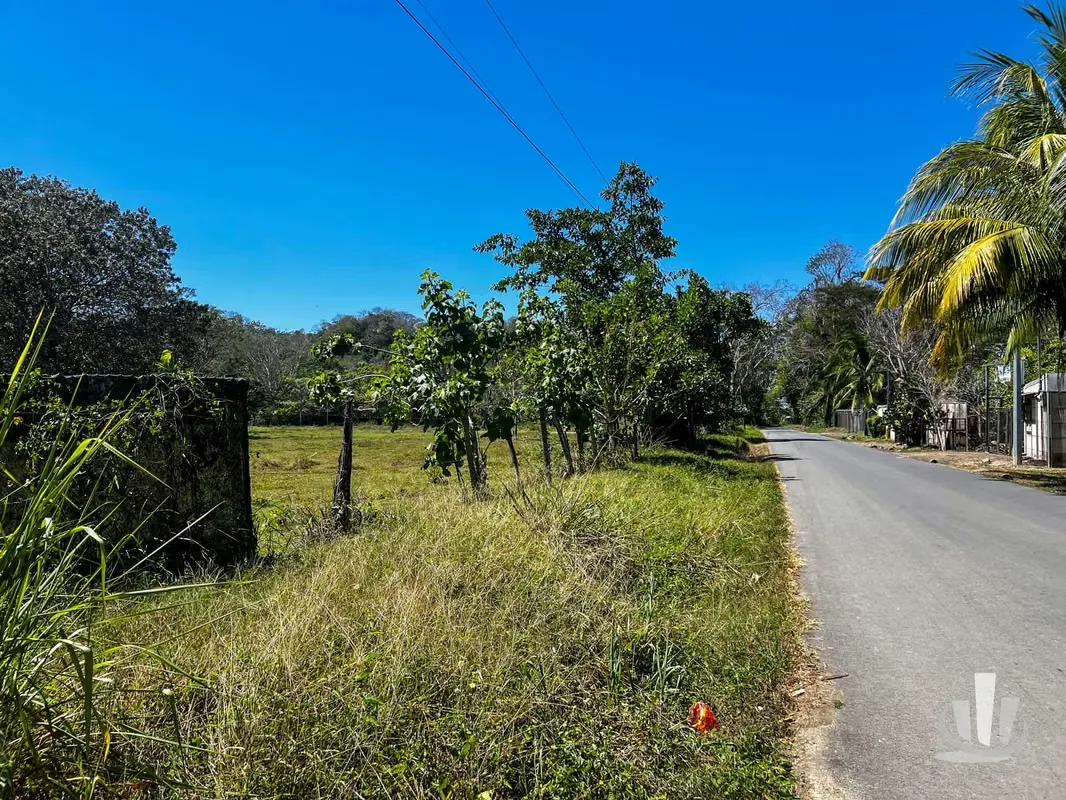 Discover a hidden paradise located on 45 hectares (111.2 acres) of virgin coastal land. Playa Agujas invites you to immerse yourself in ...