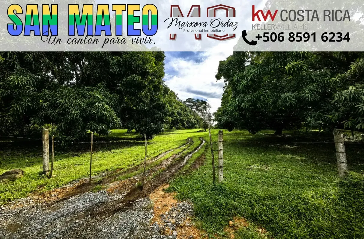 OPORTUNIDAD - En Venta - HECTÁREA con árboles frutales - Labrador de San Mateo