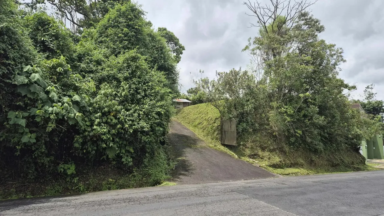 Lote for sale in San Rafael, Montes de Oca 571 m2 — photo 5