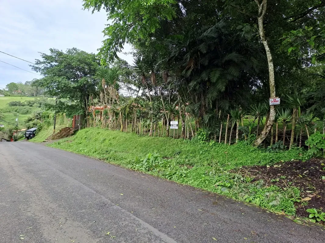 Lot for Sale in San Ramón de Tres Rios, Catago The Union