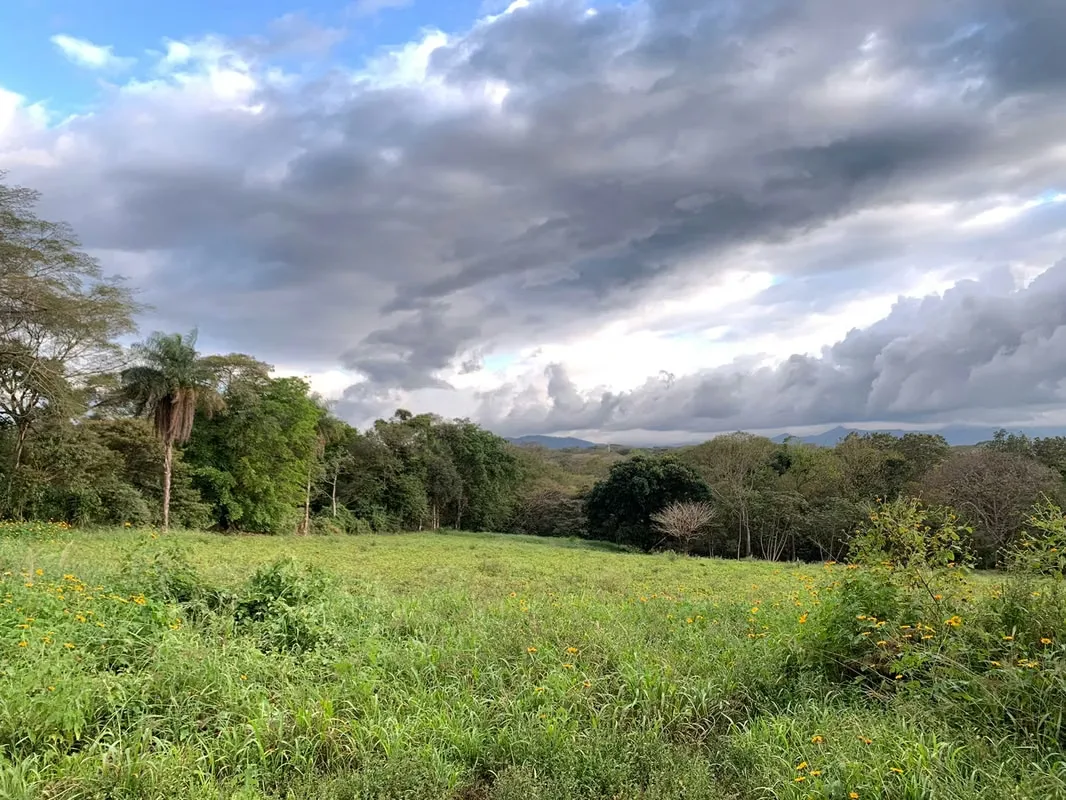 Lot ready to build the fifth of your dreams