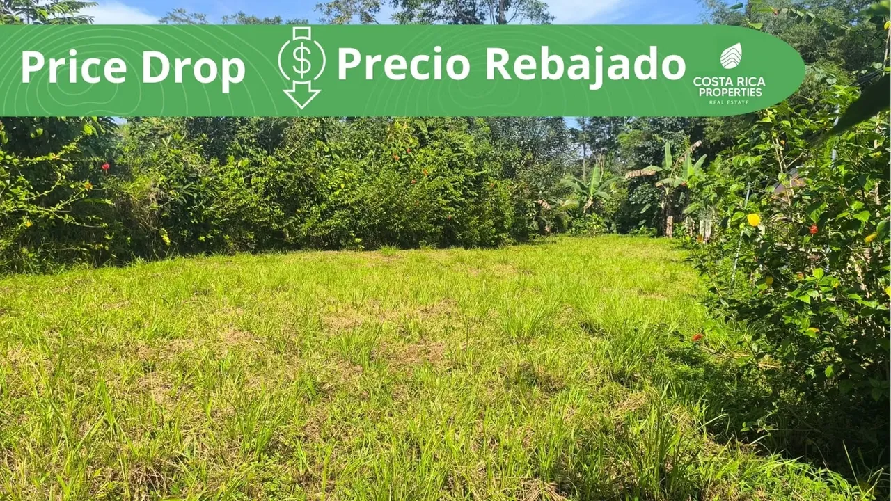 Lote en venta en San Ramon, cerca de la Fortuna, plano
