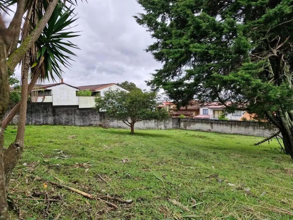 [Venta] Lote uso de suelo mixto en La Trinidad, Moravia – Frente a calle principal