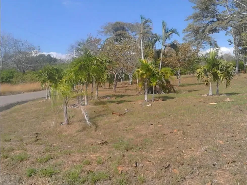 VENTA DE HERMOSO TERRENO, LA FORESTA, TARCOLES, PUNTARENAS (MV)