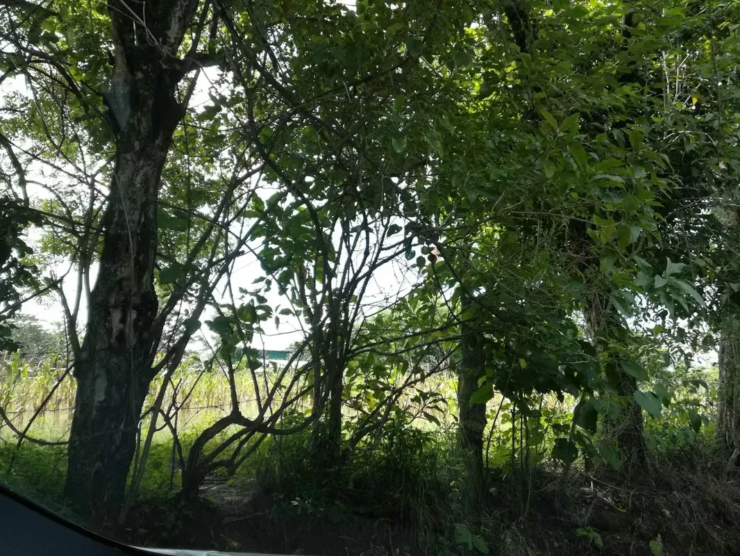 Lot sale located in La Guátima de Alajuela with the following characteristics: