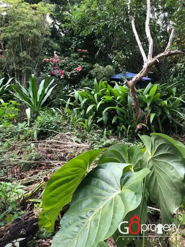 Sale of Lot in Escazú, San José, # 5153