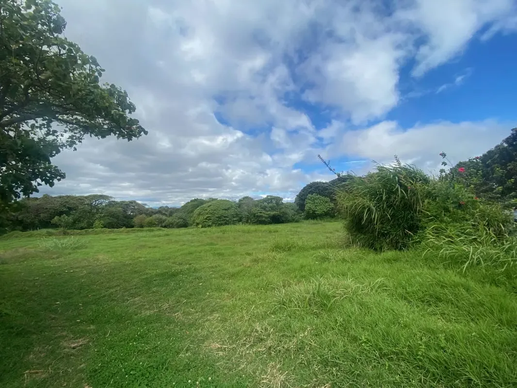 Sale of lot for housing development, Coronado, San José, #4984 — photo 4