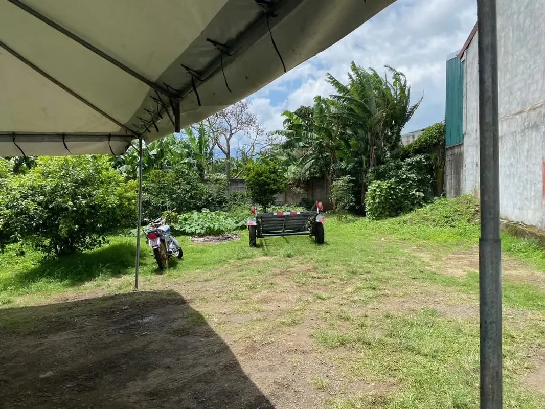 Develop your commercial space facing the main street, Guadalupe...