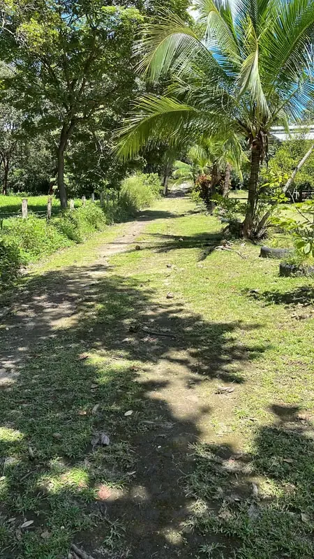 Venta de propiedad para desarrollo! en Bagaces, Guanacaste