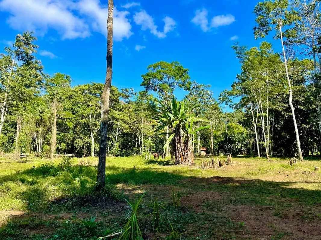 Venta de Terreno  en el Caribe Sur