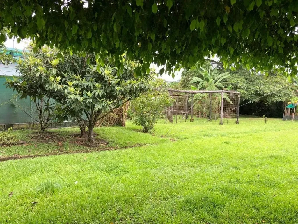 Venta de propiedad en Santa Ana centro ideal para desarrollador.