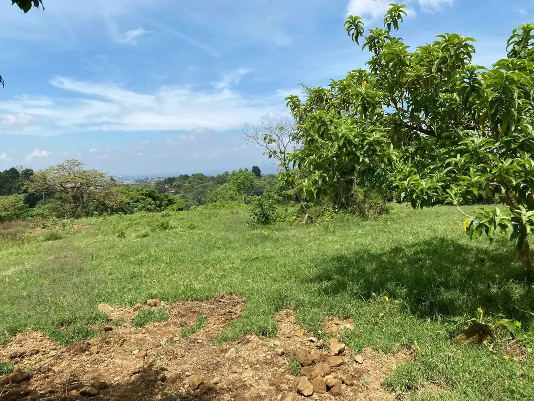Price Reduced from 40 to20 per Square Meter! 4437