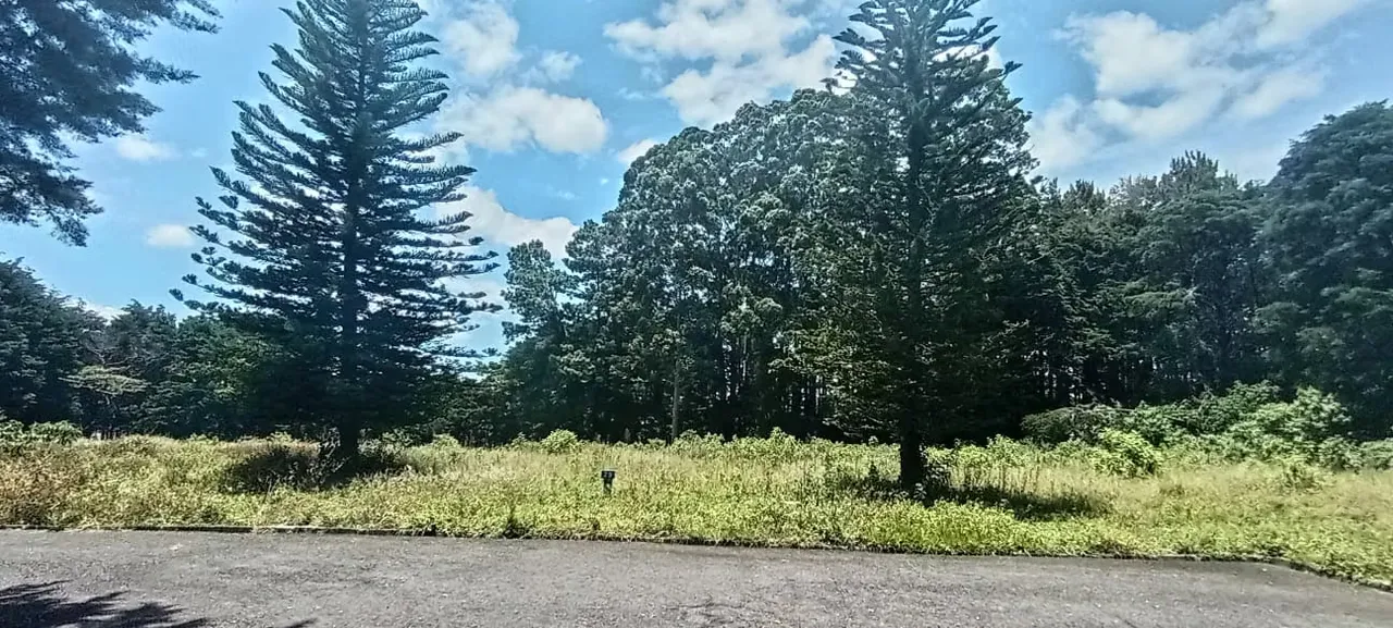 3 Large Lots Available for Sale: