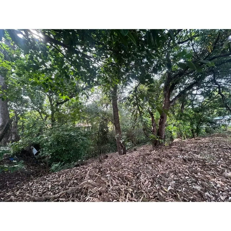 COMMERCIAL LOT FOR SALE, GUANACASTE, NICOYA CENTER — photo 2