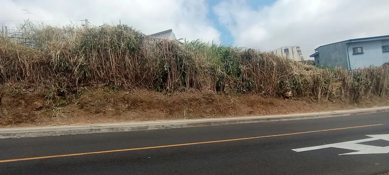 Land for Development for Sale - San Rafael, Montes de Oca ID 5472 — photo 3
