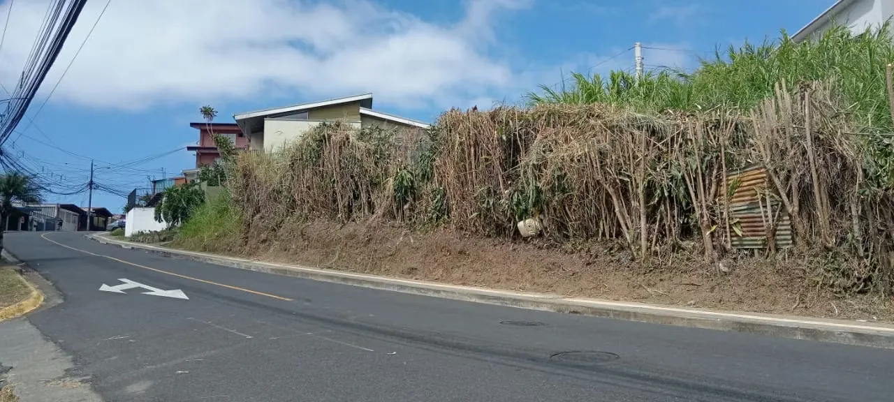 Land for Development for Sale - San Rafael, Montes de Oca ID 5472 — photo 4