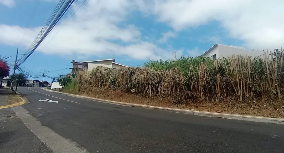 Land for Development for Sale - San Rafael, Montes de Oca ID 5472 — photo 5