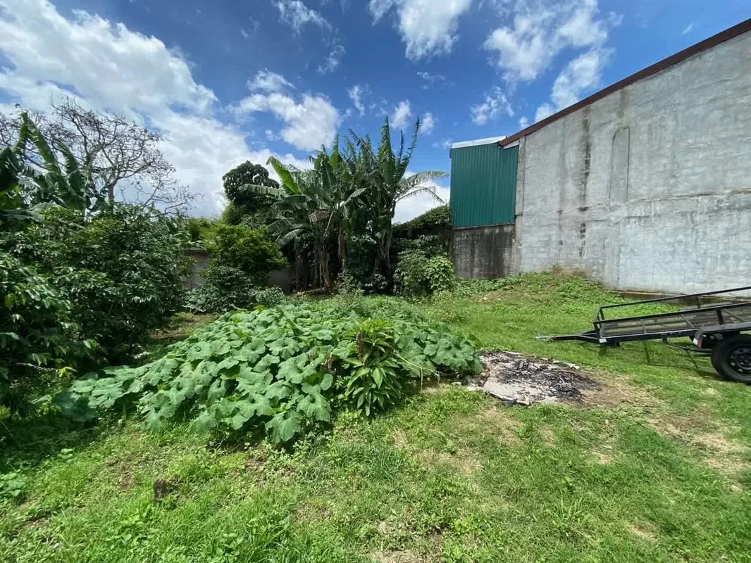 Develop your commercial space facing the main street, Guadalupe... — photo 5